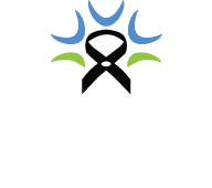 minnesgava.se